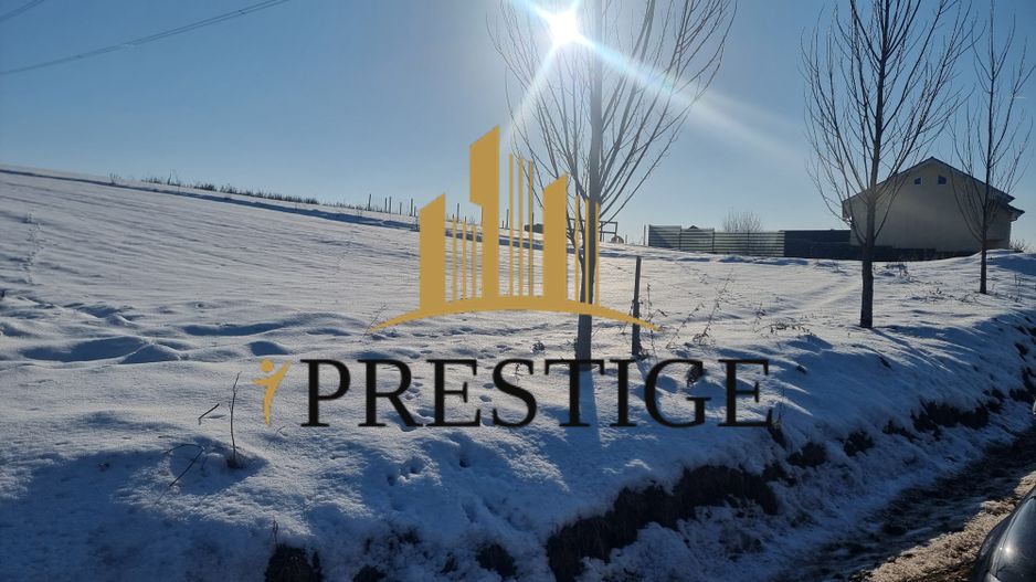 FĂRĂ COMISION | TEREN 6695 MP ÎN ȘURA MARE - Poză 10