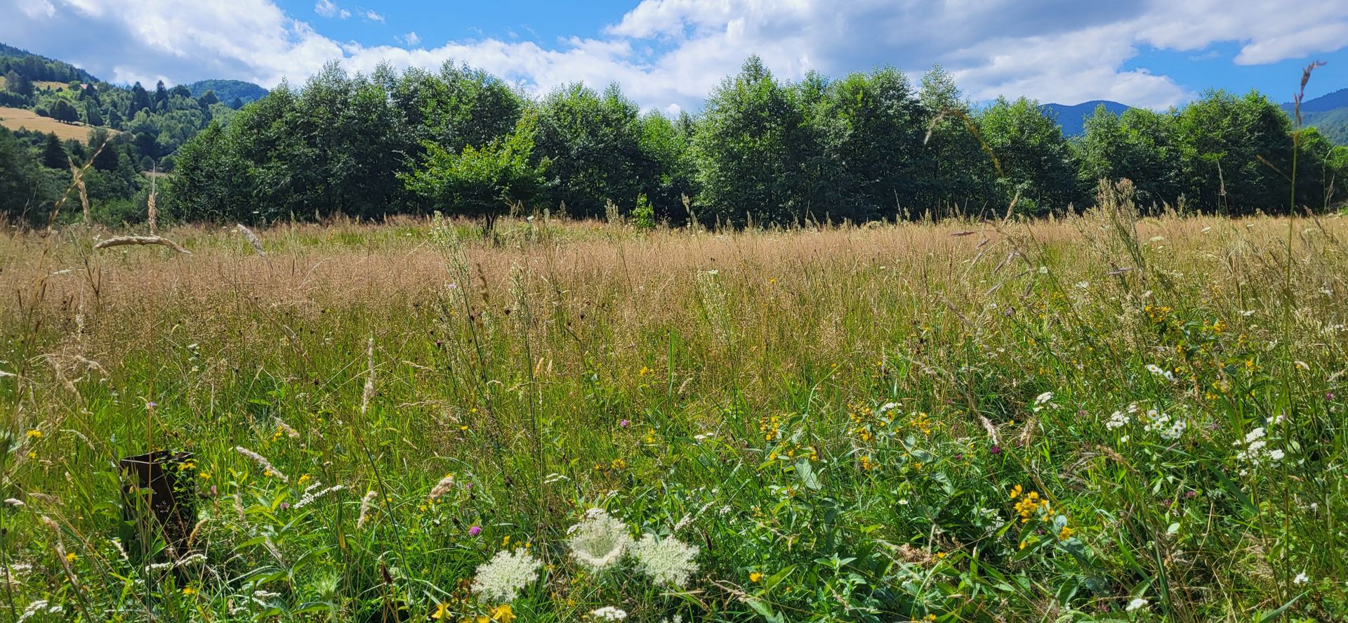 Plaiul Foii, teren pretabil casă de vacanță, pensiune, comision 0% - Poză 9