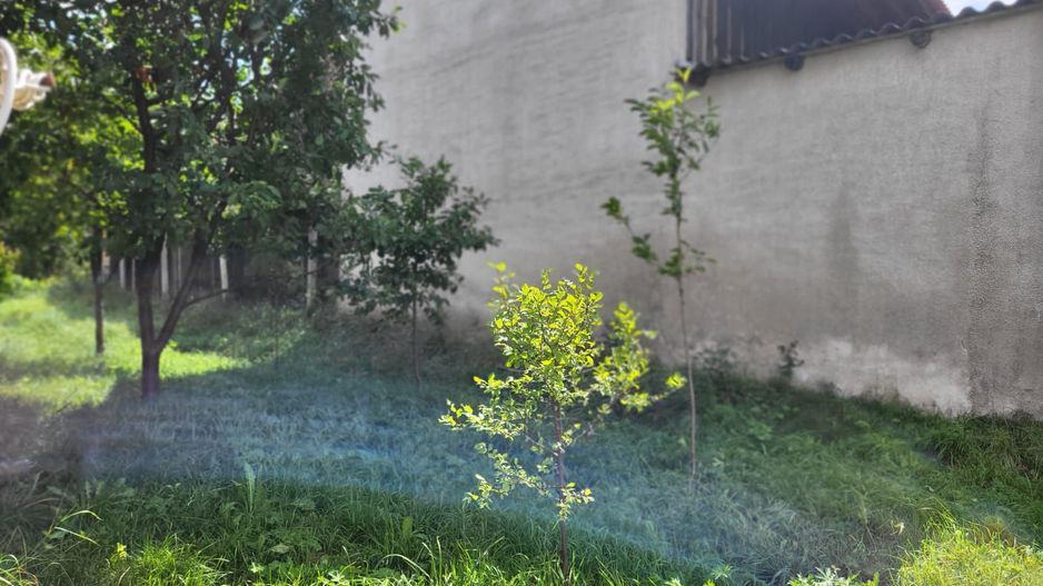 Sacele -Turches, gradina intre case, comision 0% - Poză 10