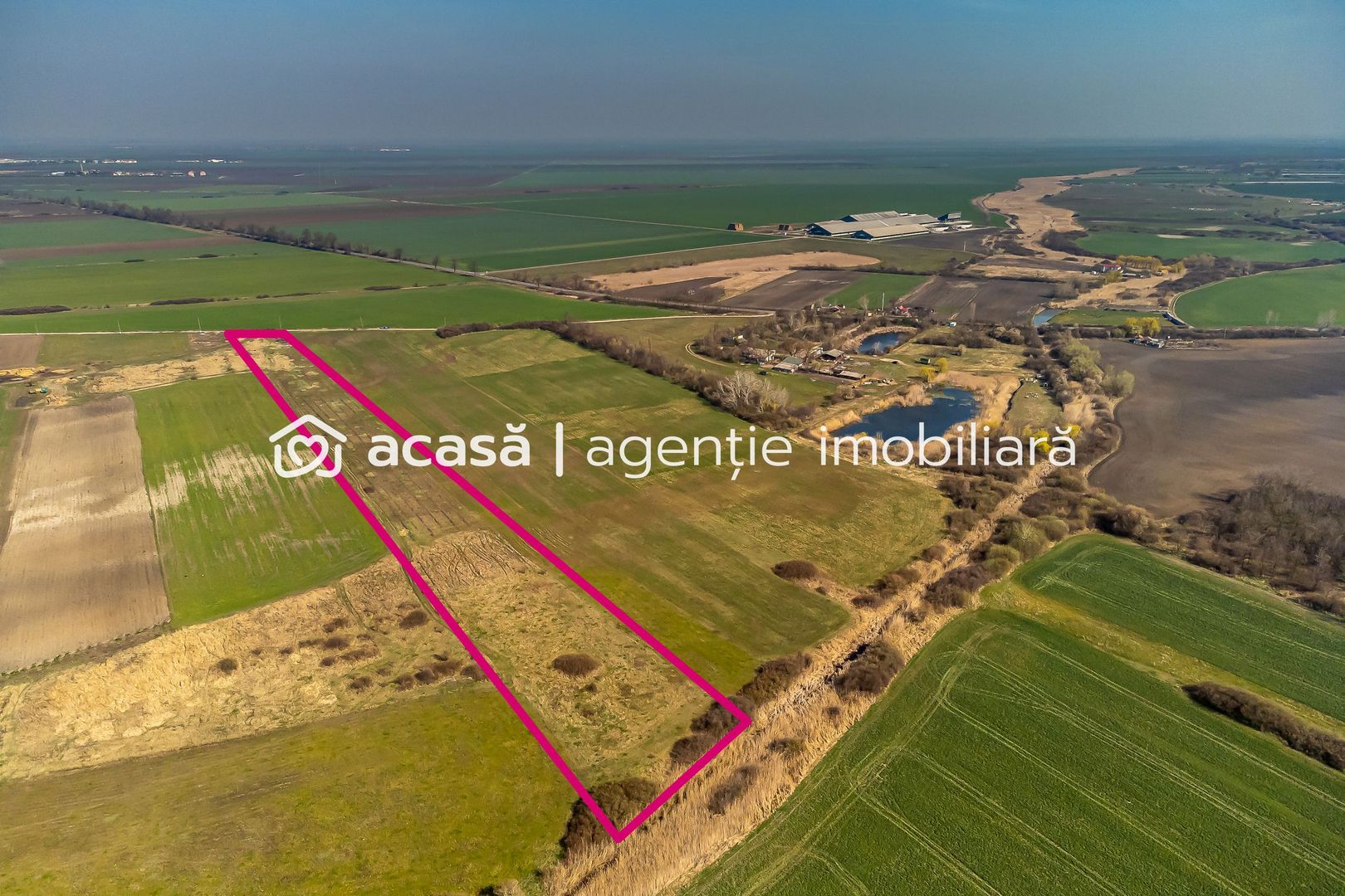Teren Agricol Extravilan 14300 mp - Poză 5
