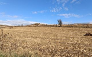 Teren extravilan in Sura Mare - Poză 1