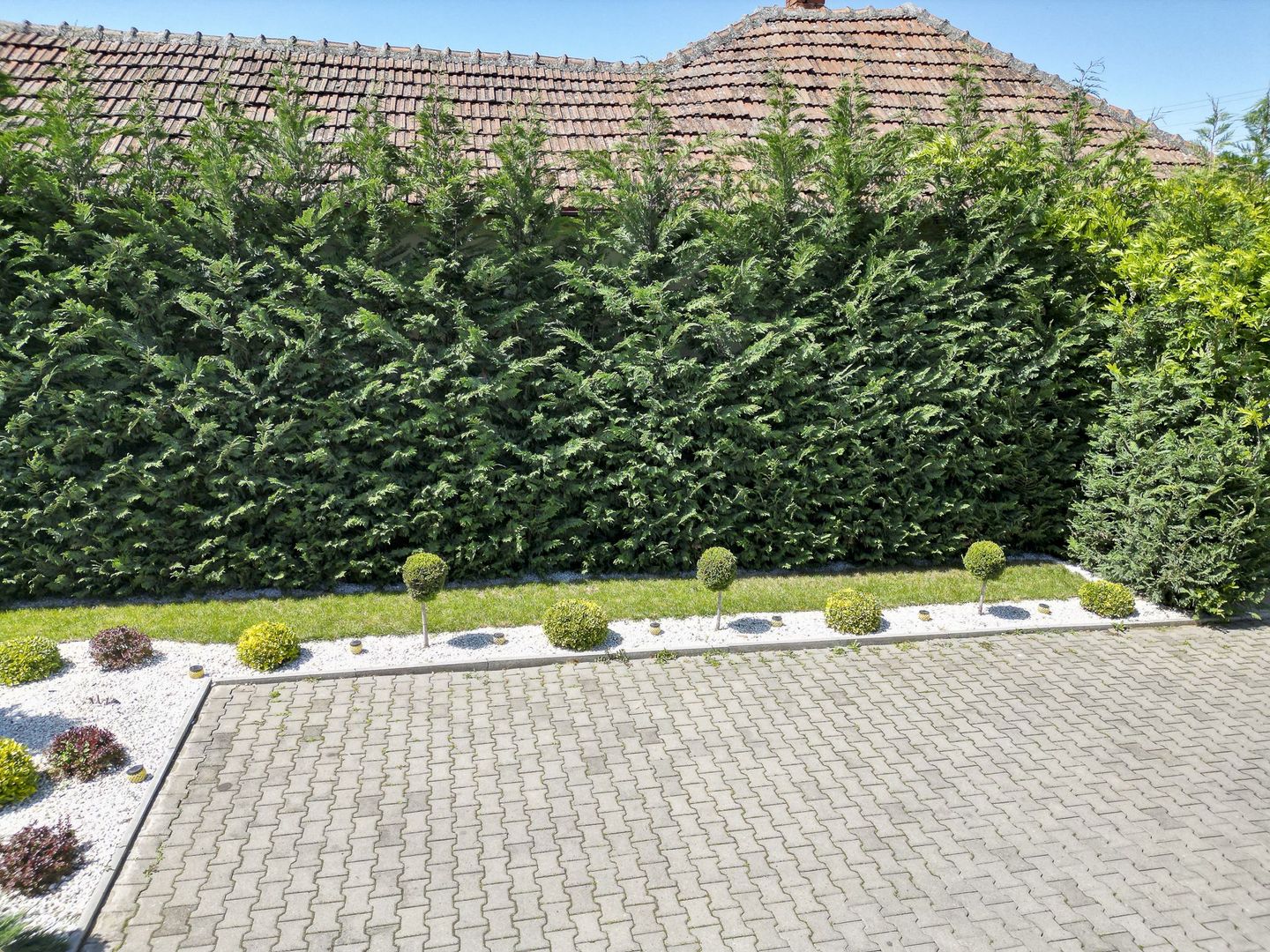 Afacere la cheie în Arad - Poză 26