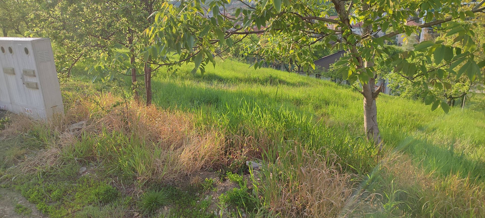 teren Spitalul Judetean - Poză 6