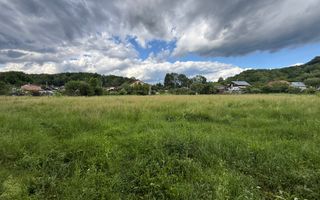 Teren plat-intravilan -3800 mp, cu pădurice și ieșire la râu! - Poză 4