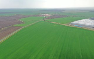 Teren industrial Dudestii Noi - Poză 1