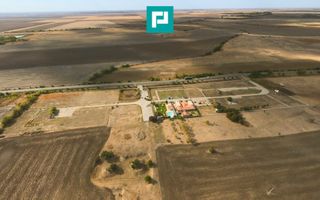 Teren 16.000 mp | Front stradal 50 m | Acces DN - Poză 6