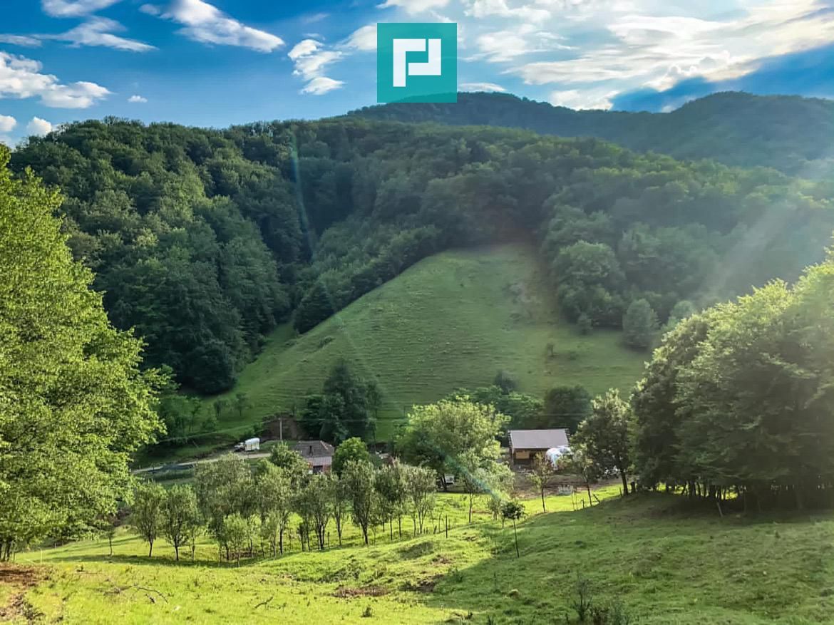 Teren  pentru investiții  în Luncoiu de Jos - Poză 2