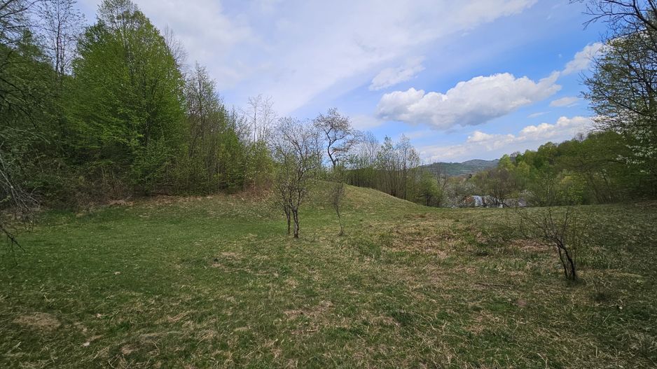 Teren intravilan 1454 mp la marginea padurii zona locuita de case! - Poză 3