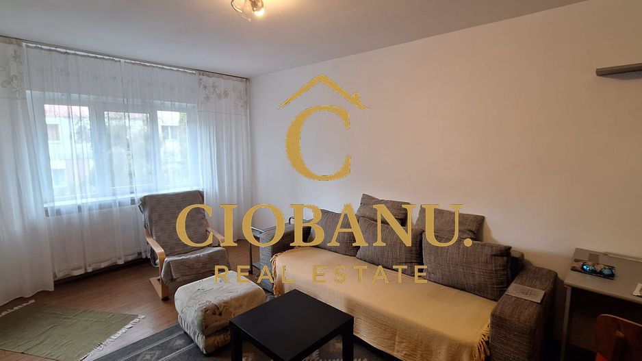 Apartament 3 camere DECOMANDAT etaj 2/4 de vanzare zona Lapus Arges - Poză 8