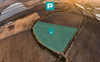 Teren arabil 68,800mp Zimandu Nou - Poză 1