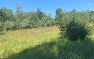 Teren in zona turistica Porumbacu de Sus - Poză 4