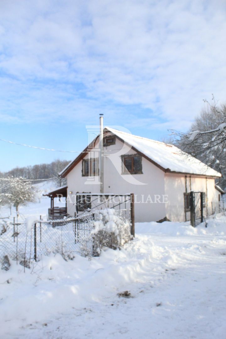 Proprietate rară | 4458 mp teren intravilan | Casă solidă, natură, liniște totală. | Bratca, Bihor. - Poză 44