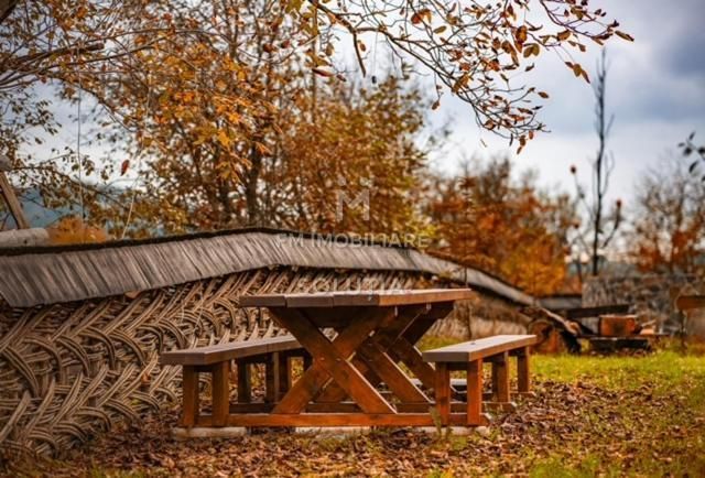 Pensiune agroturistică: 3 case tradiționale + teren în Desești - Poză 16