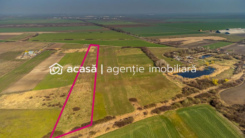 Teren Agricol Extravilan 14300 mp - Poză 4