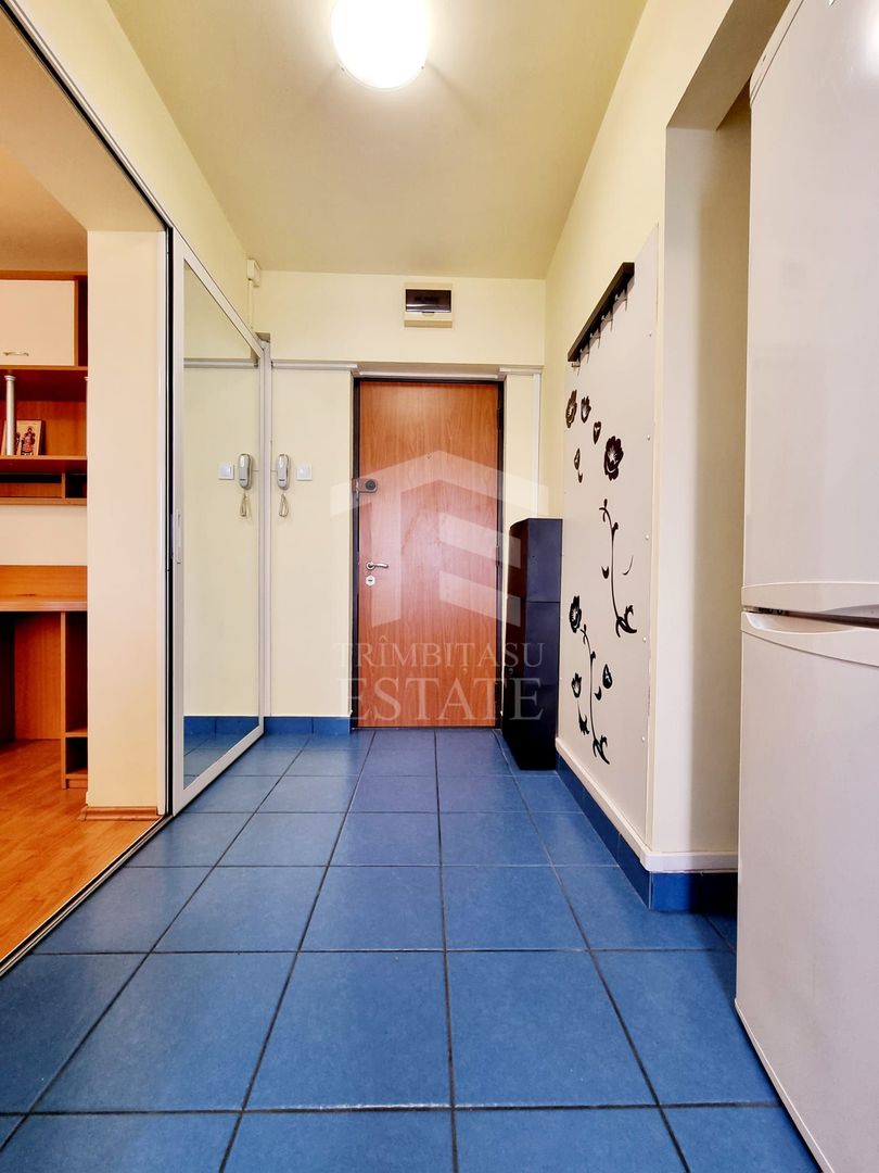 Apartament 2 camere Hanul Drumetului Bd 1 Mai Drumul Taberei - Poză 9