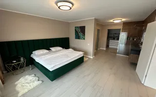 Casa individuala Dumbravita cu anexa de 90 mp - Poză 23