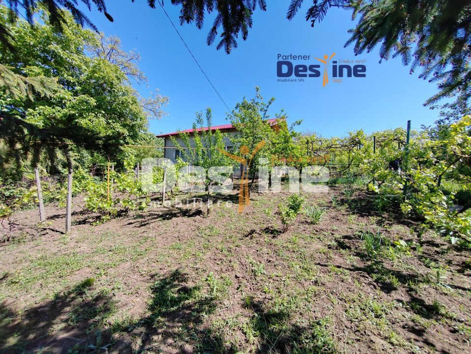 Casă individuală P+M, 164 mp utili + 1062 mp teren, COPOU - Poză 4