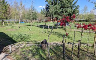 Teren Intravilan | 1150 mp | Săliște - Poză 5