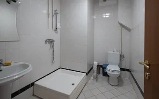 Vila cu 750 mp utili si teren de 1.480 mp in Erou Iancu Nicolae - Poză 33