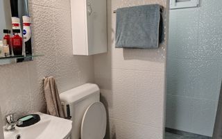 SANPETRU .Casa pretabila 2 familii ( Parinti + copil),singur in curte. - Poză 10