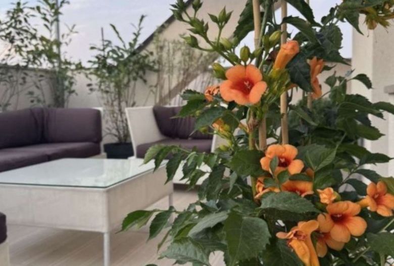 BLOC NOU ULTRALUX 3 CAMERE + TERASA PANORAMICA TIMPURI NOI + PARCARE - Poză 17