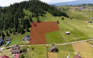 Teren Fundatica intravilan 4500 mp - Poză 1