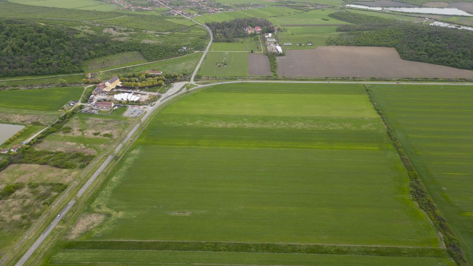 Teren extravilan de 22500mp Zona Ineu - Poză 3