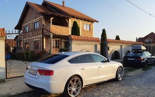 Casa de vanzare P+1, 4 Garaje, Vetis - Poză 3