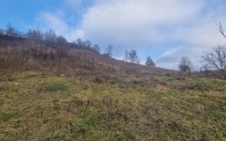 Teren intravilan | Livezile - Poză 6