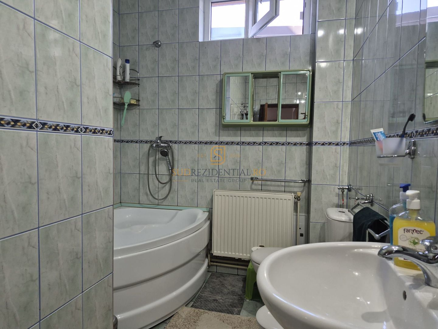 Vilă P+M | 254 mp | 1.094 mp teren | 25 ml DN5 | 1 Decembrie | 320.000 - Poză 17
