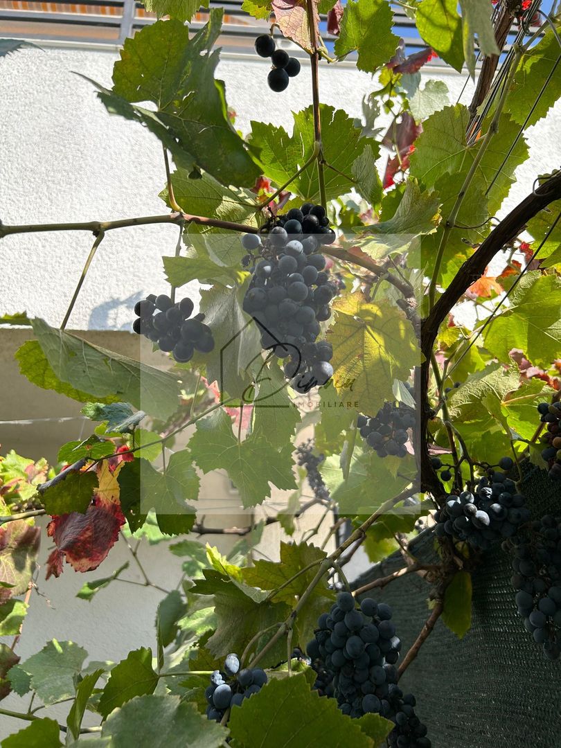 Vila de vanzare in Tunari I Gata de mutat I 4 camere I 5 parcari - Poză 53