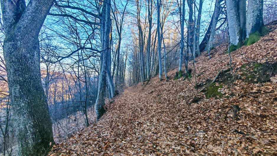 2,2 Ha TEREN INTRAVILAN PANORAMIC, in Muntii Apuseni NEGRENI – CLUJ - Poză 11