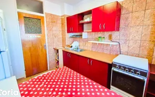 2 camere I Banu Manta I Bloc 1981 I Etaj 10 - Poză 11