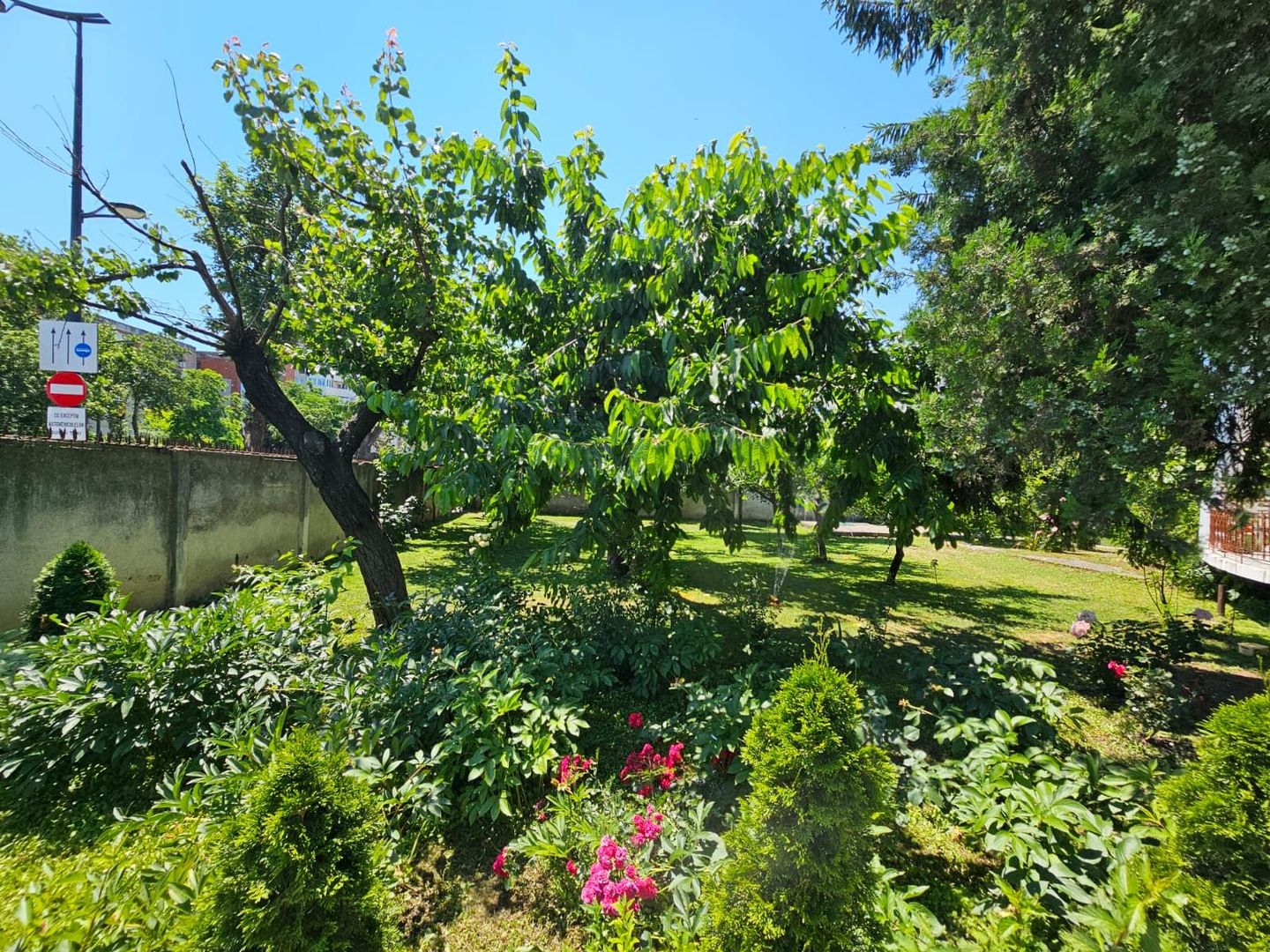 Casa eleganta cu tavane inalte si gradina superba - Poză 14