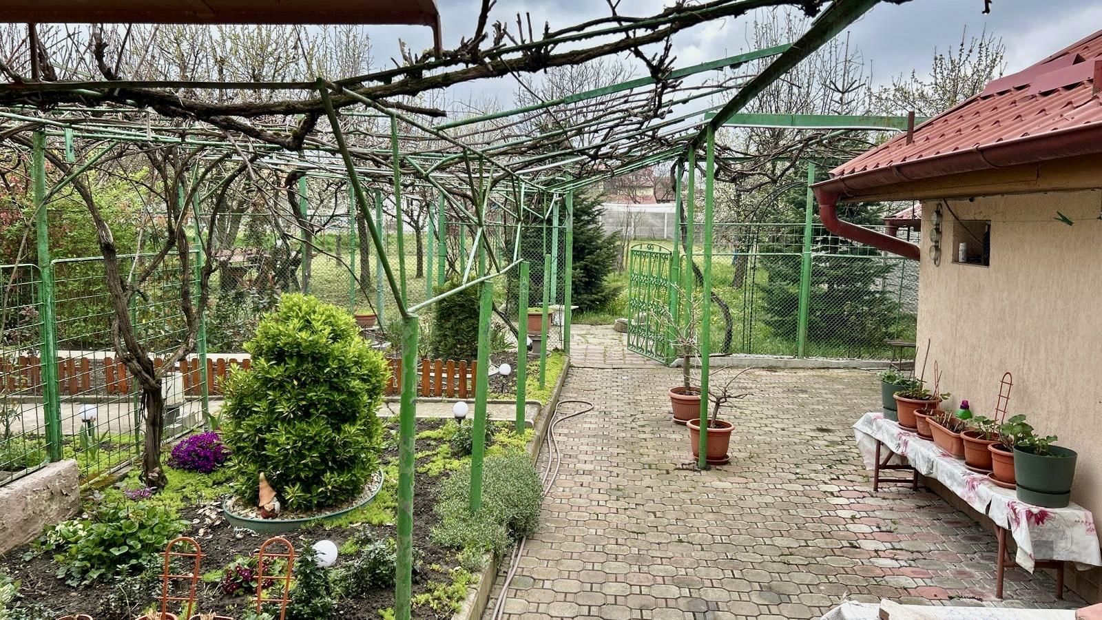 TEREN GENEROS 1000 MP - Poză 5