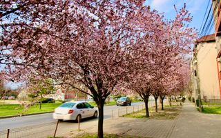 Bloc nou - 2 Camere - Parcare subterana - Soarelui - Poză 9