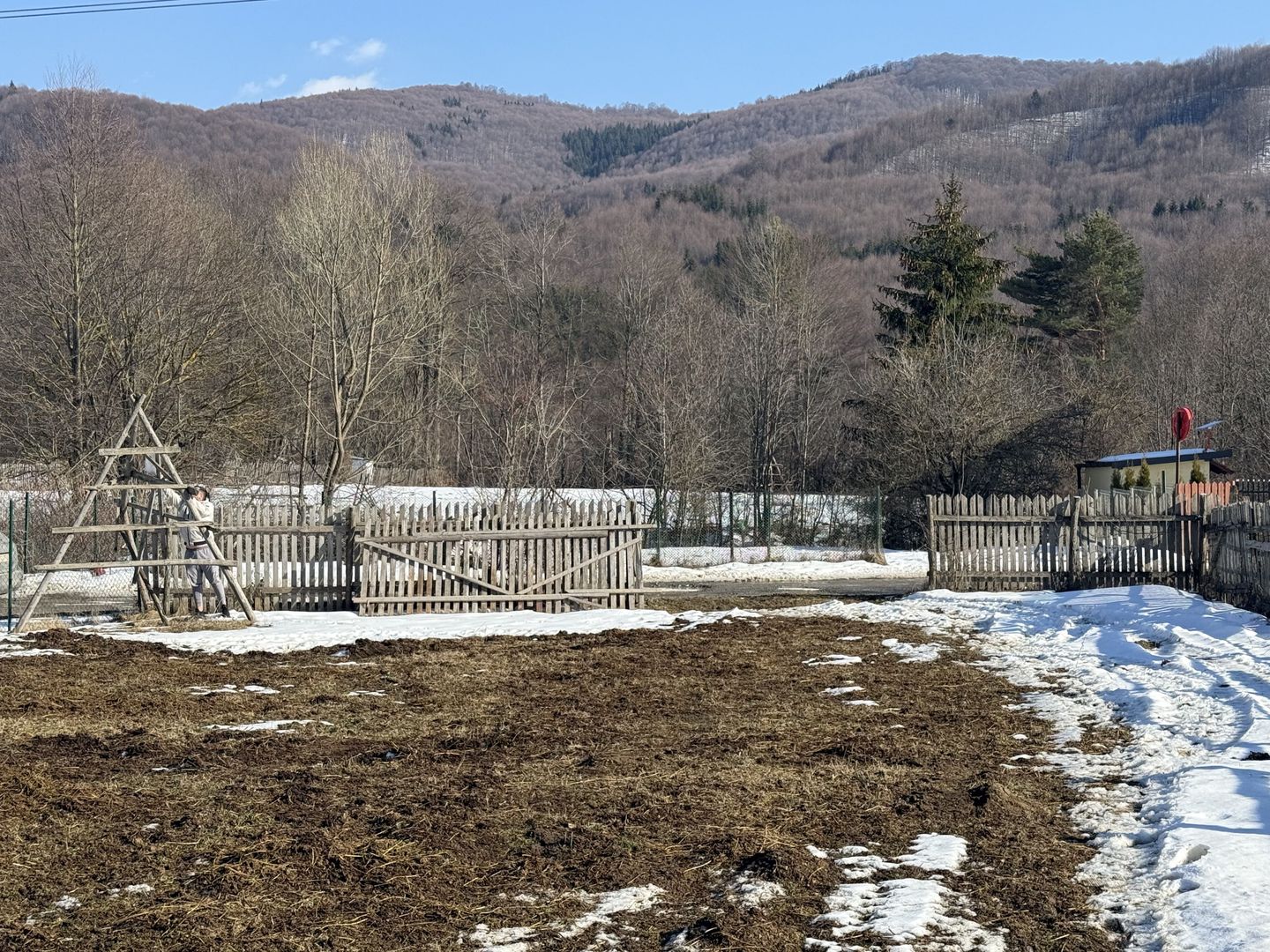 Teren intravilan 4521mp lângă pădure-valea Doftanei -Calea Brasovului - Poză 7