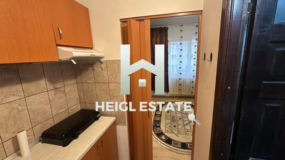 Apartament cu 1 camera in zona Buziasului - Poză 3