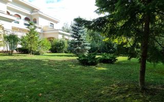 Spațiu. Lumină. Impact. Vilă unică în Prelungirea Ghencea - Poză 13