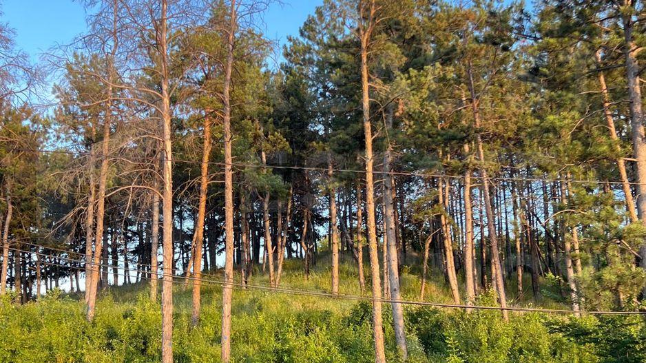 Vânzare casă, 4 camere,  str. Dragomirna, sectorul Buiucani. - Poză 4