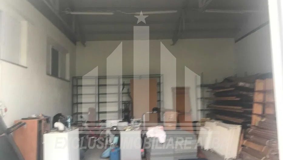 Hala industriala de vanzare - Poză 6