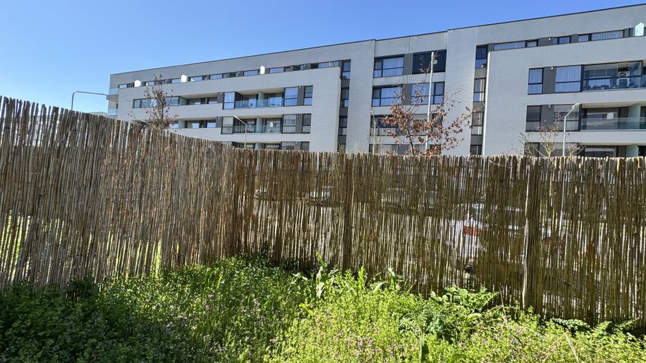 3 camere cu Gradina Proprie Sector 1 - Mall Colosseum - Poză 14