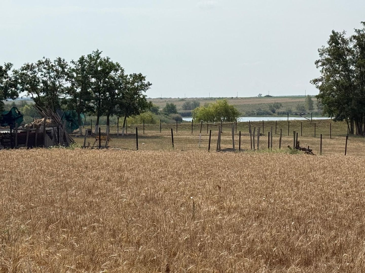 Teren intravilan Miersig, vedere la lac. 12,5 E/mp neg. Comision 0 - Poză 5