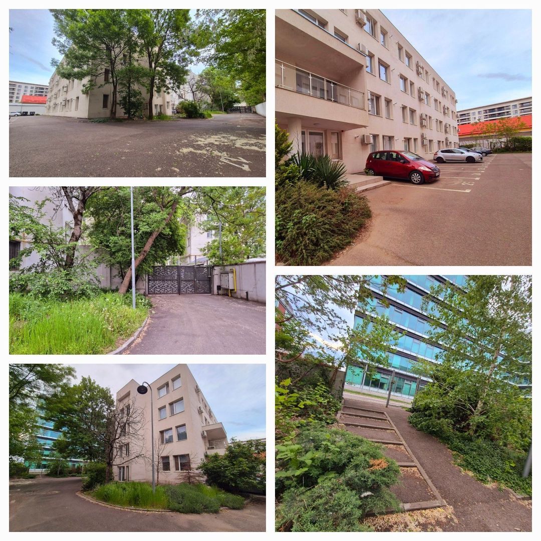 STUDIO | DIMITRIE POMPEIU | PIPERA | PET-FRIENDLY - Poză 7