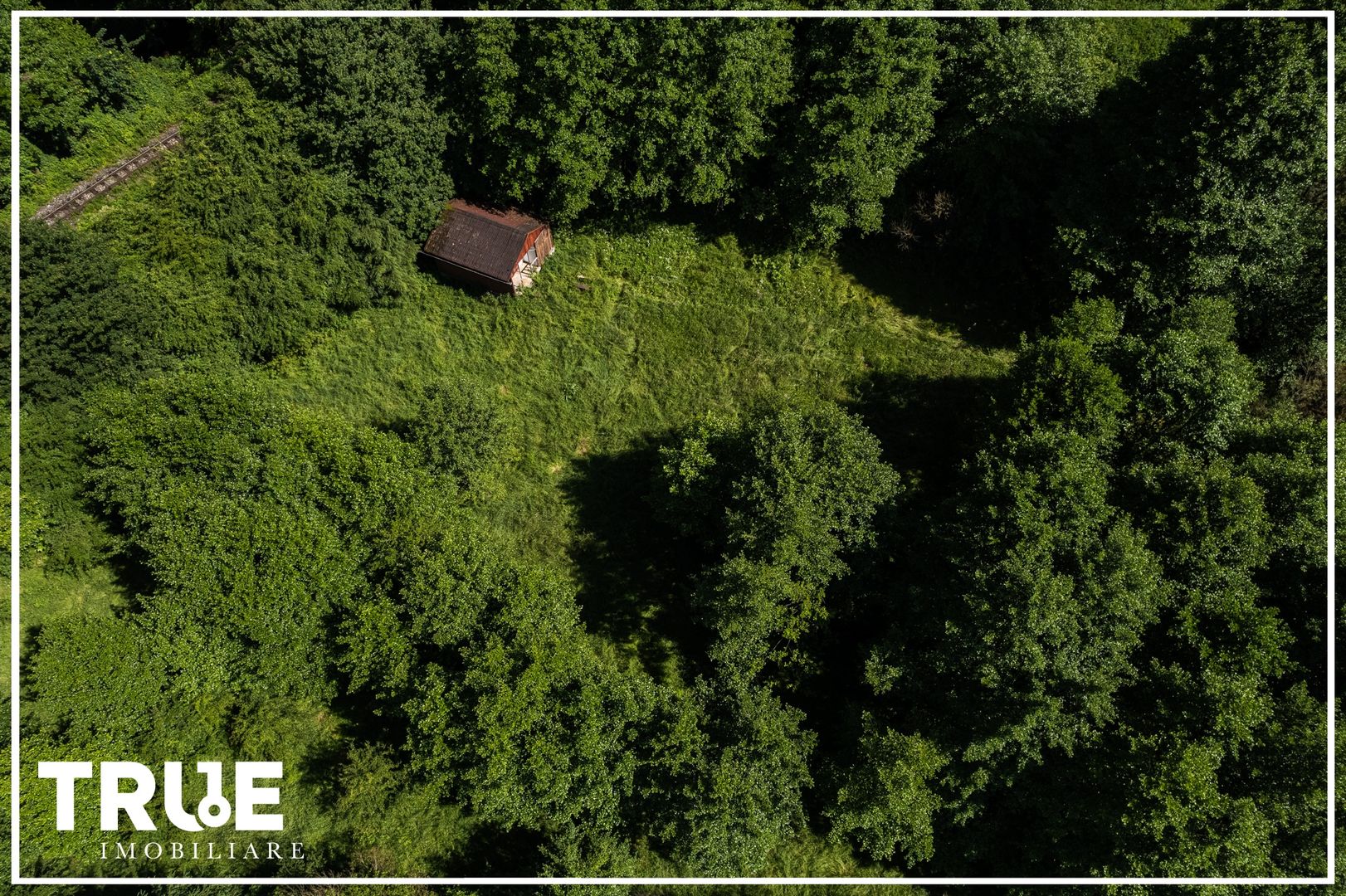 Teren intravilan 2.800 m² în Câmpu Cetății – liniște și natură - Poză 5