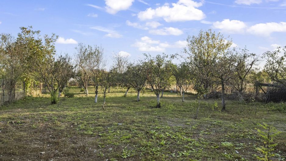 COMISION 0% | 2 Case cu Spatiu Comercial | Teren 1019mp | 540 eur/mp - Poză 38