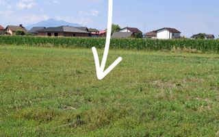 Terenuri Intravilane  Harman - Poză 7