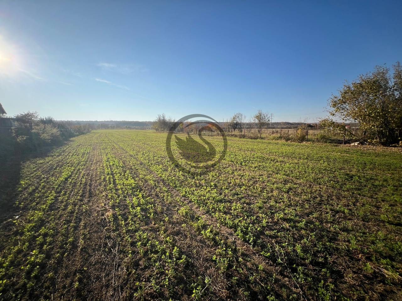 Teren intravilan de vanzare | 12.650 mp | Ghirdoveni, | Comision 0% - Poză 4