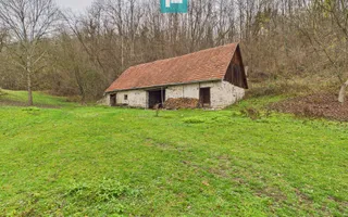 Casă cu teren de 24.679,73 mp, în Hălmagiu, Arad - Poză 13