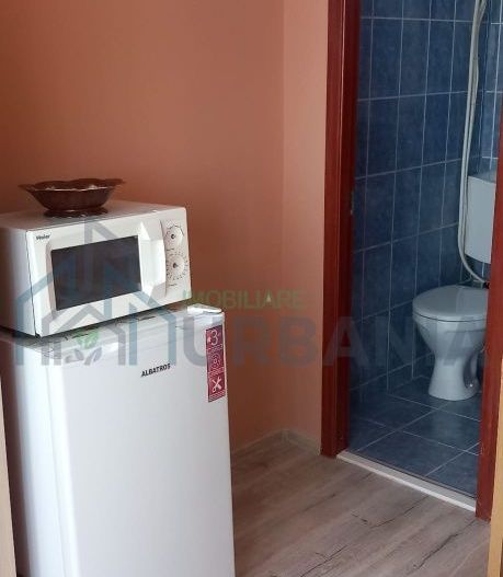 Închiriez garsonieră zona piața Nicolina exact ca în poză - Poză 7